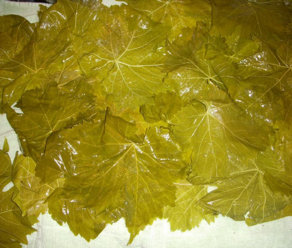 Соленые виноградные листья